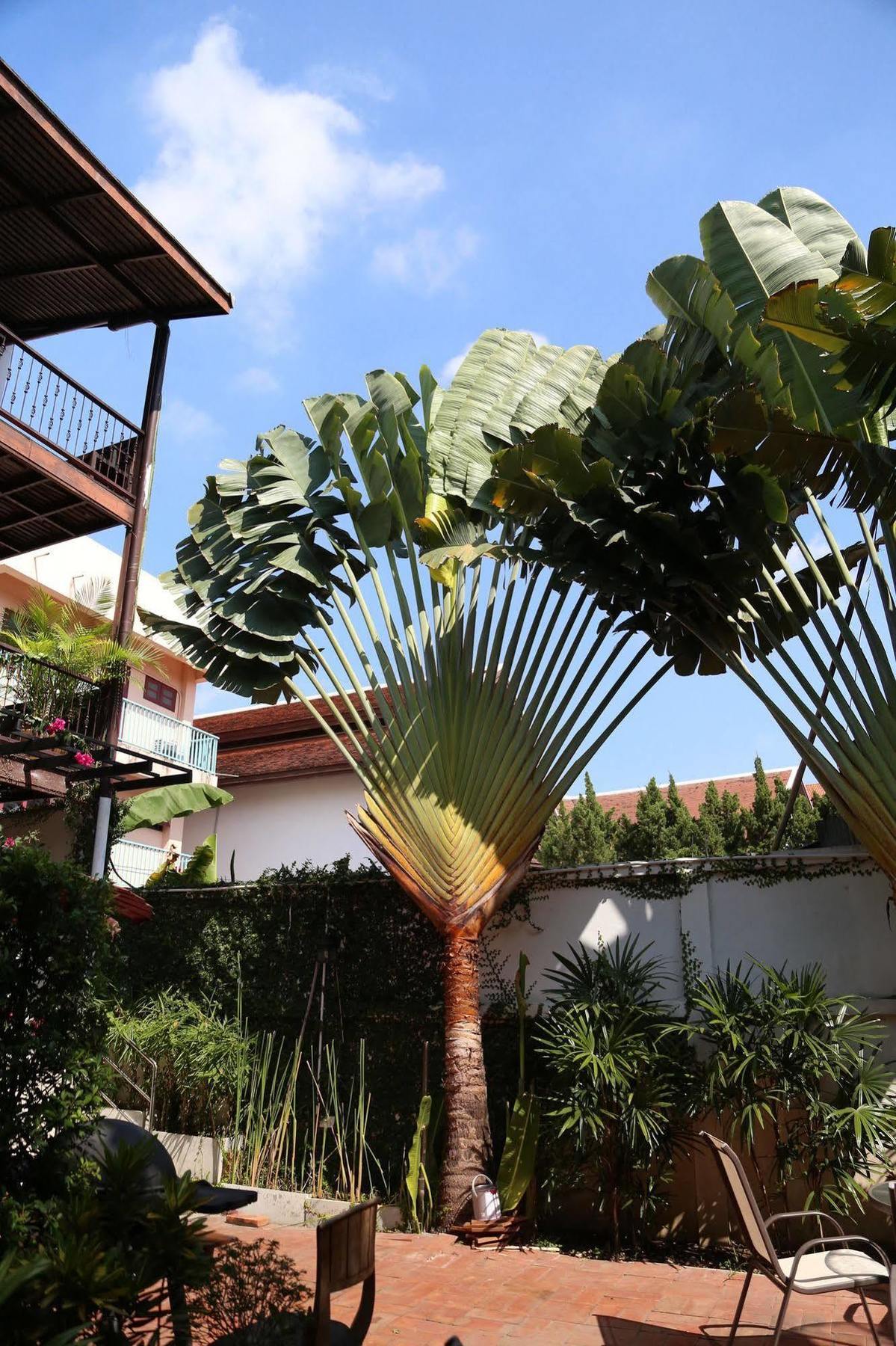 Come Chiangmai Lanna Boutique House Chiang Mai Luaran gambar